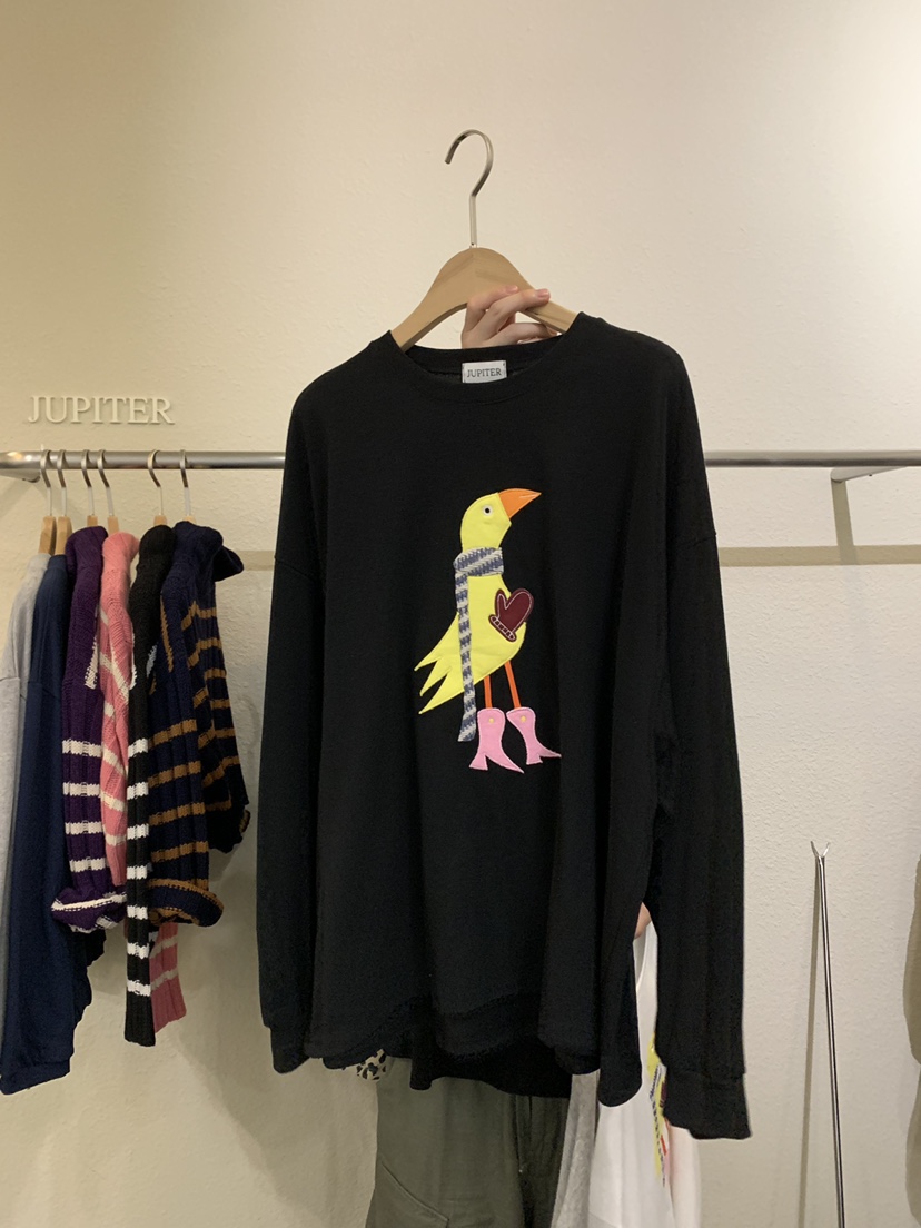 JUPITER東大門㊣代購女裝新品人氣真品推薦熱賣25秋冬長袖T恤鴨JUPITER長袖T恤圖色2