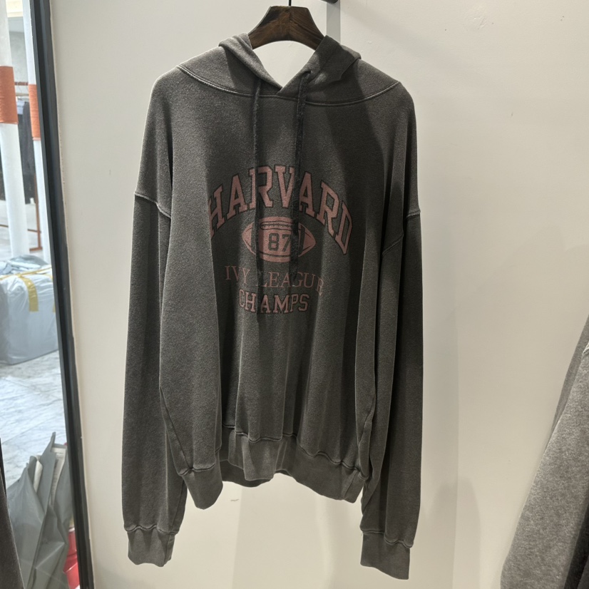 JANE BIRKIN韓國直郵㊣女士新品時尚人氣真品職業25秋冬衛衣JANE BIRKIN設計師品牌衛衣圖色2