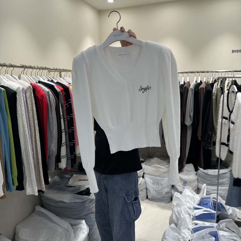 ENDOLPHIN東大門㊣代購女士新品時尚25秋冬職業人氣針織衫刺繡ENDOLPHIN針織衫圖色1