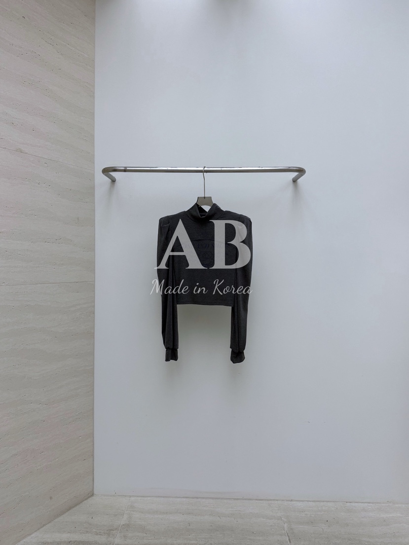 AB韓國代購㊣女士新款推薦時尚真品休閑熱賣25秋冬職業長袖T恤AB長袖T恤圖色2