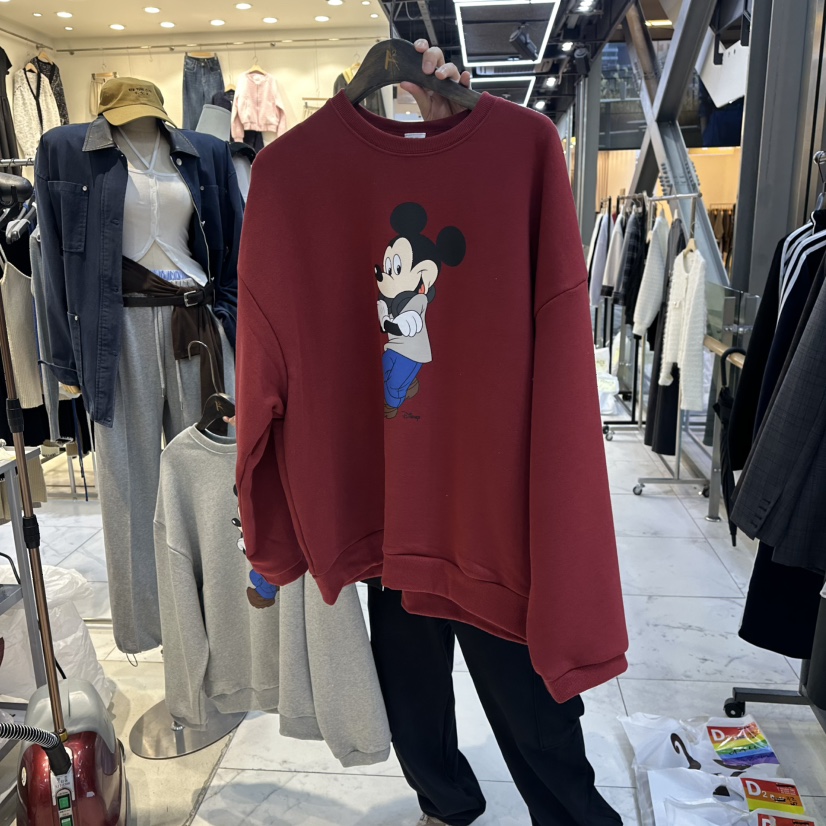 A2/D2韓國直郵㊣女士新款推薦人氣時尚職業熱賣25秋冬衛衣A2/D2衛衣圖色3