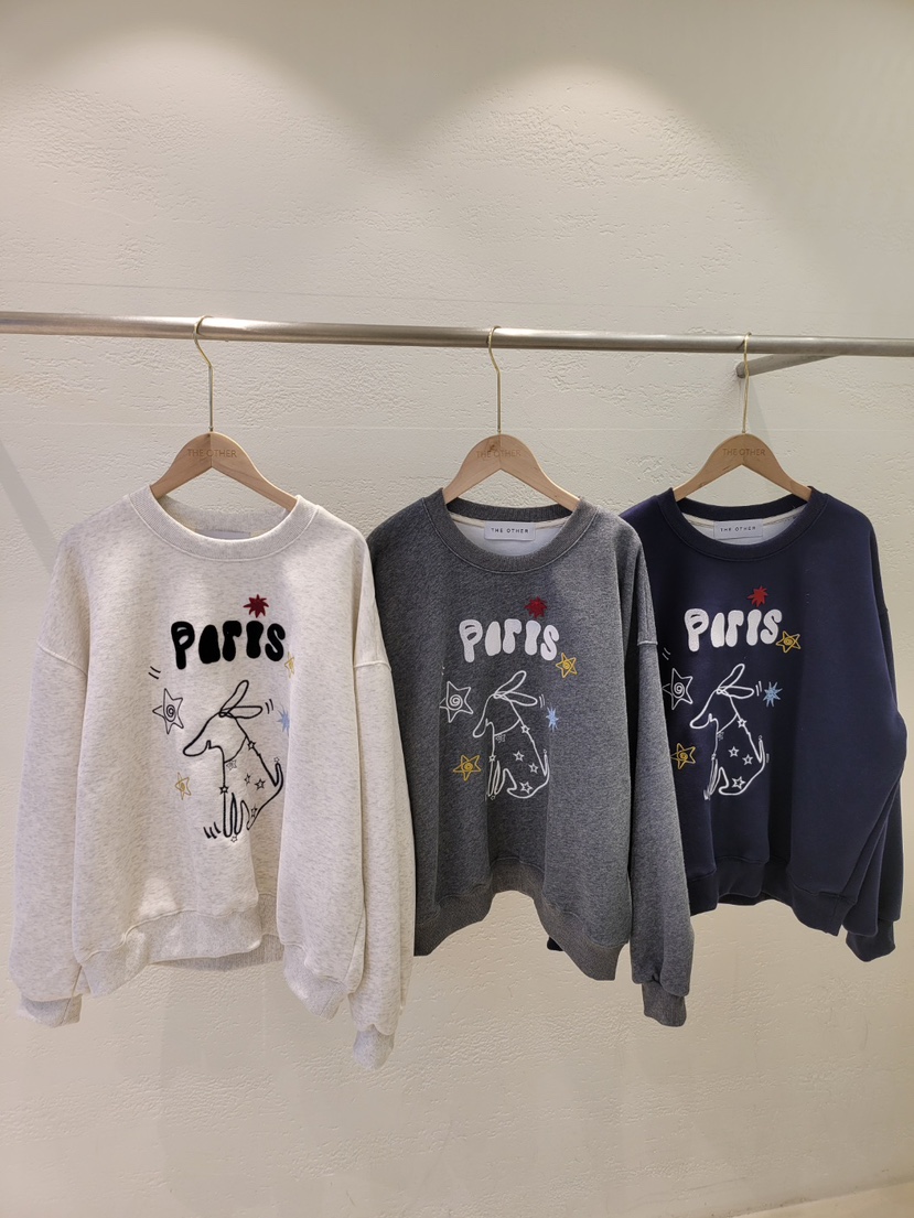空東大門㊣實拍女士新品真品熱賣休閑推薦時尚職業衛衣刺繡THE OTHER衛衣
