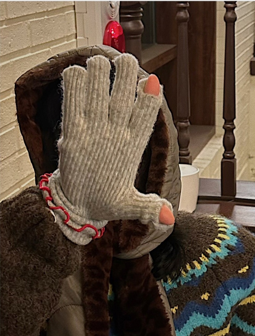 LIKEVAM東大門㊣直郵女士新款熱賣職業人氣25秋冬休閑真品手套LIKEVAM手套