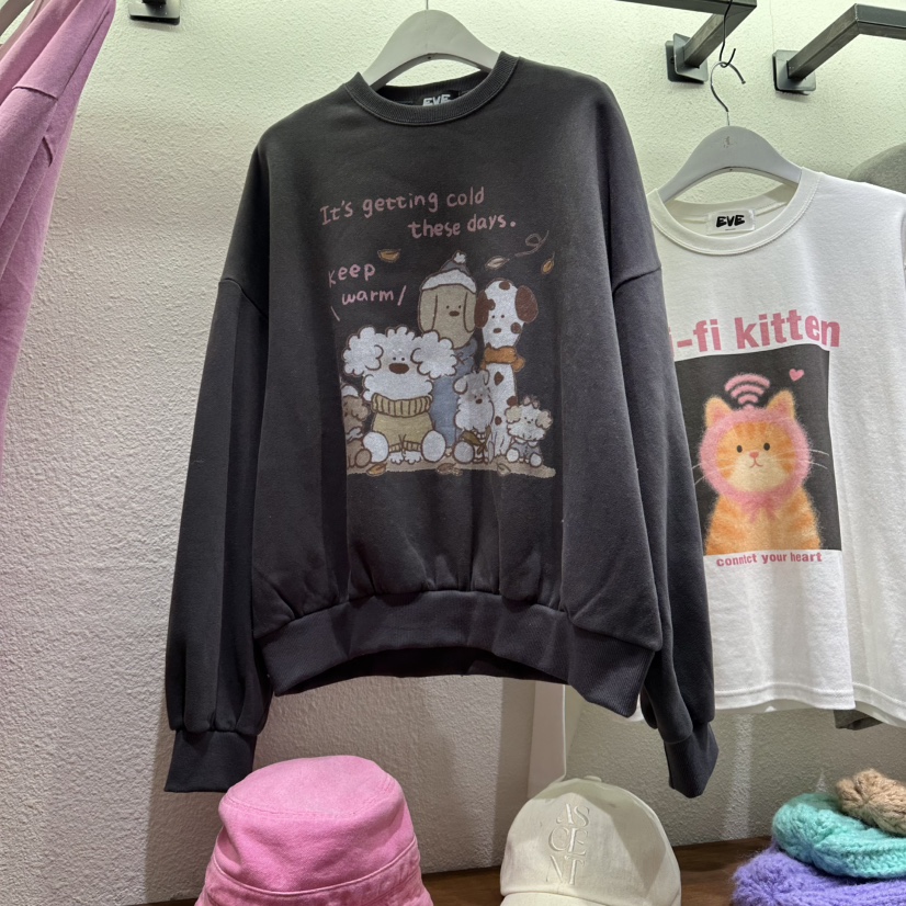 EVE韓國直郵㊣女士新品25秋冬真品人氣職業時尚推薦熱賣衛衣EVE衛衣圖色3