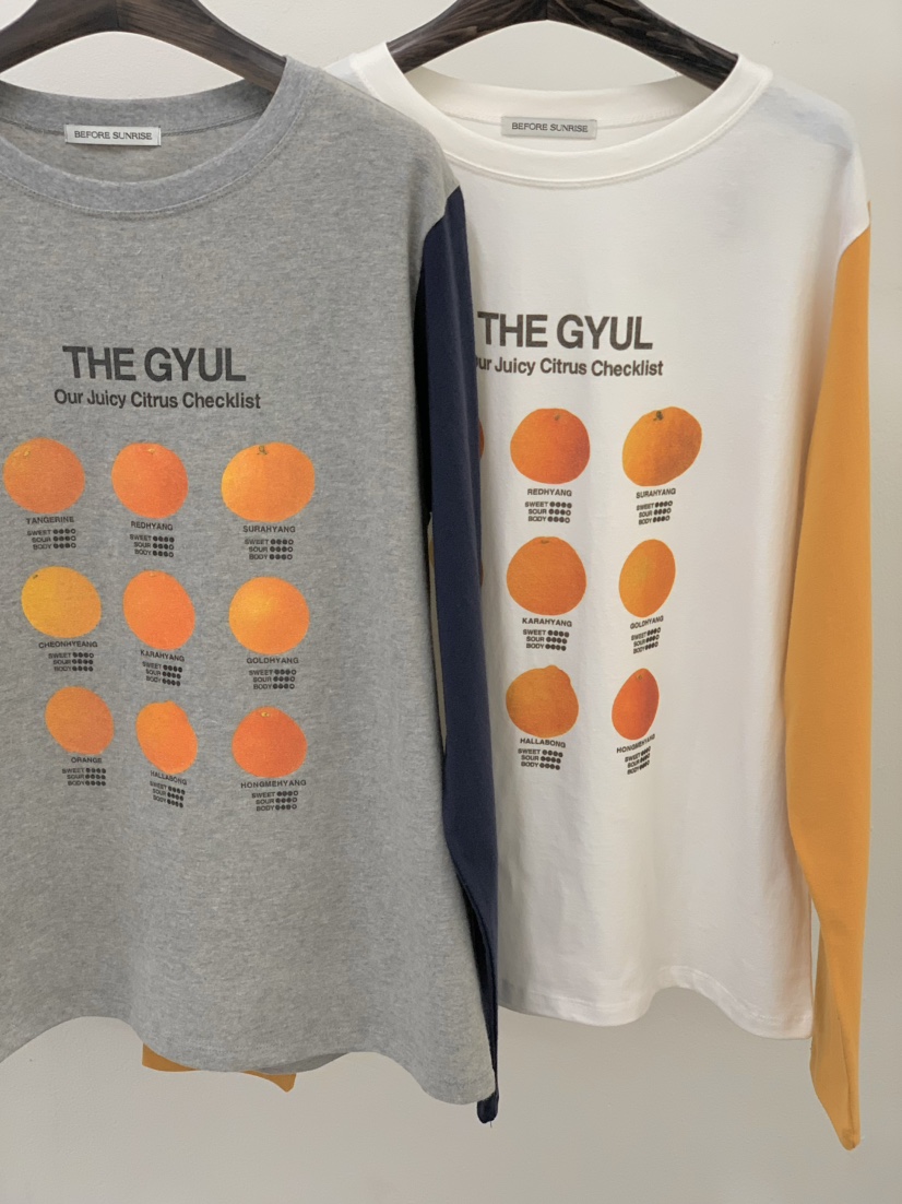 BEFORE SUNRISE東大門㊣直郵女士新款人氣25秋冬真品長袖T恤BEFORE SUNRISE長袖T恤