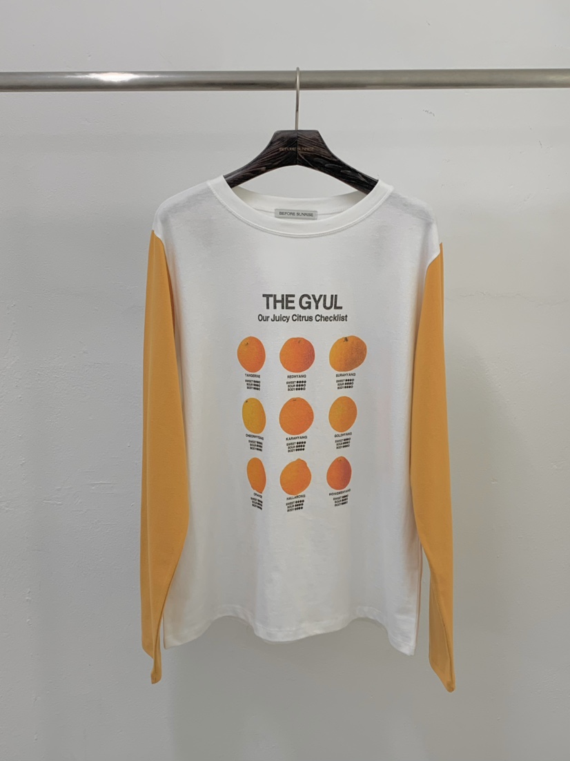 BEFORE SUNRISE東大門㊣直郵女士新款人氣25秋冬真品長袖T恤BEFORE SUNRISE長袖T恤圖色2