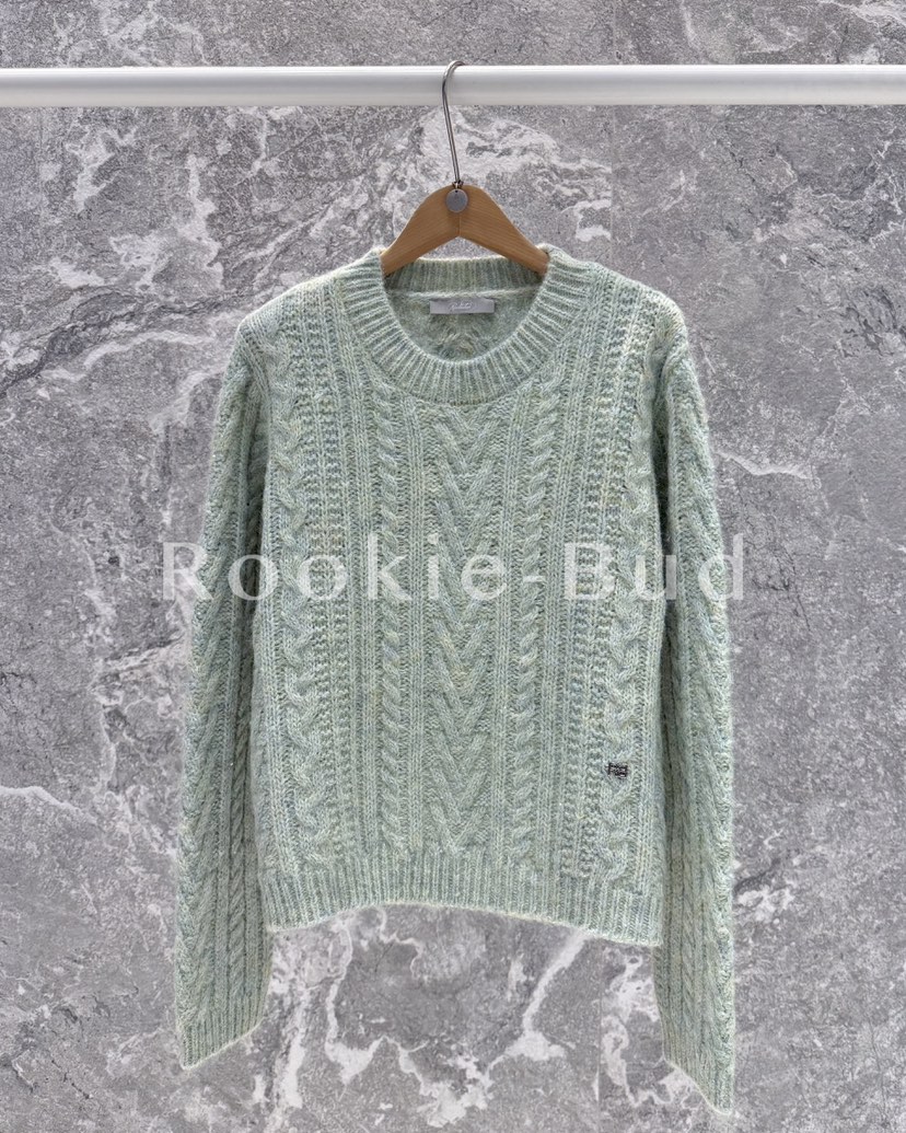ROOKIE BUD東大門㊣實拍女士新款25秋冬休閑針織衫麻花針織ROOKIE BUD-L針織衫圖色3
