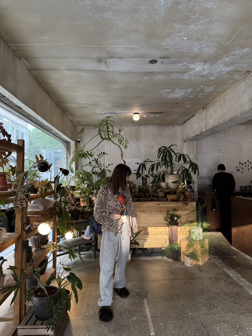 FRANC—L東大門㊣直郵女士新品休閑職業熱賣推薦襯衫蕾絲衫FRANC襯衫/蕾絲衫