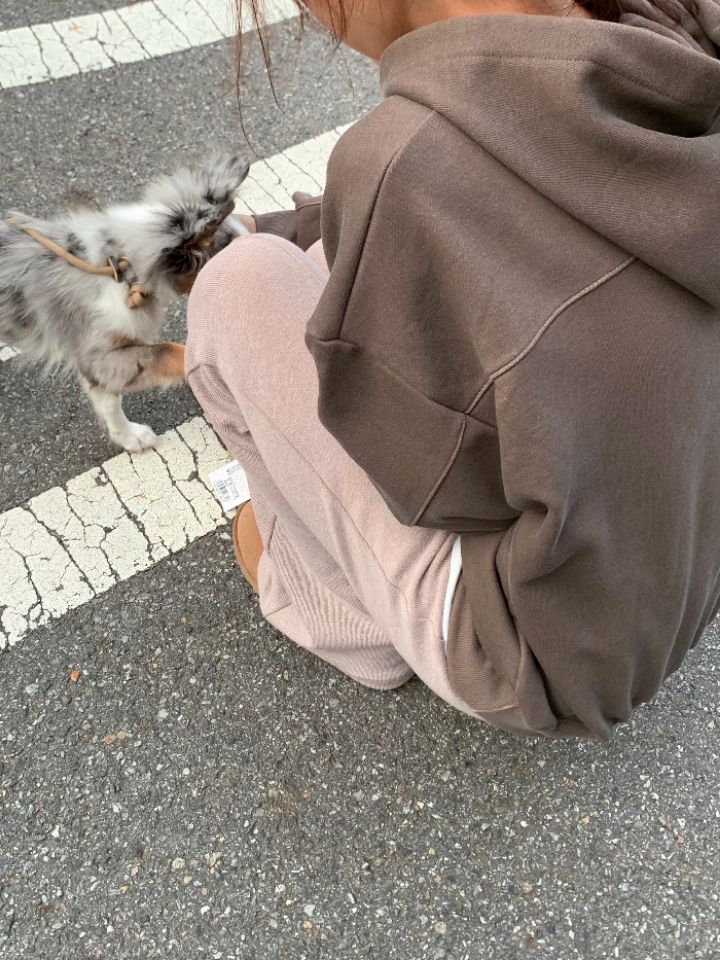 DOIT東大門㊣代購女士新品熱賣職業人氣推薦時尚衛衣連帽衫DOIT衛衣