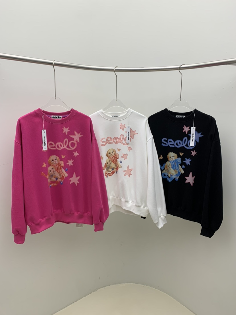 SEOLO東大門㊣實拍女士新款真品職業人氣推薦25秋冬熱賣衛衣Seolo seoul衛衣