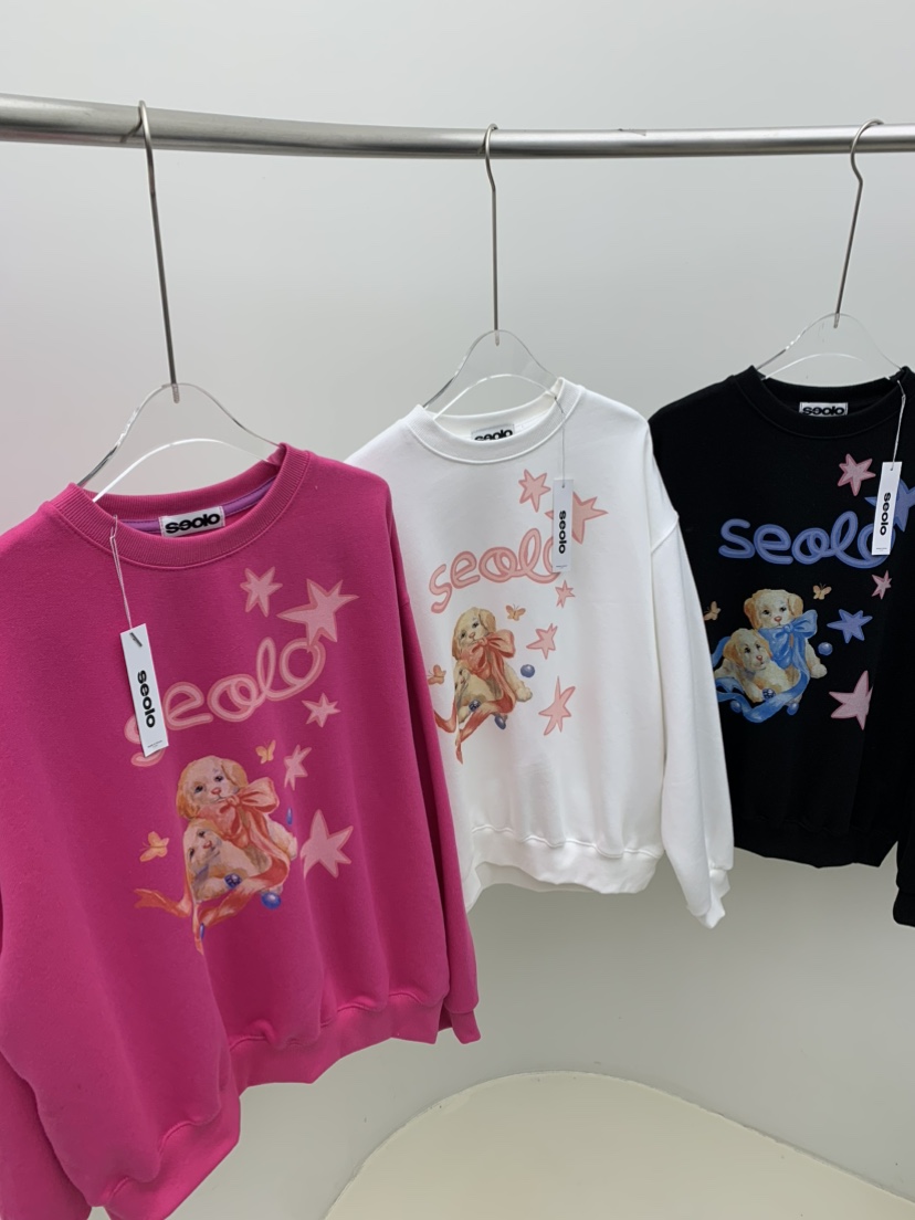 SEOLO東大門㊣實拍女士新款真品職業人氣推薦25秋冬熱賣衛衣Seolo seoul衛衣