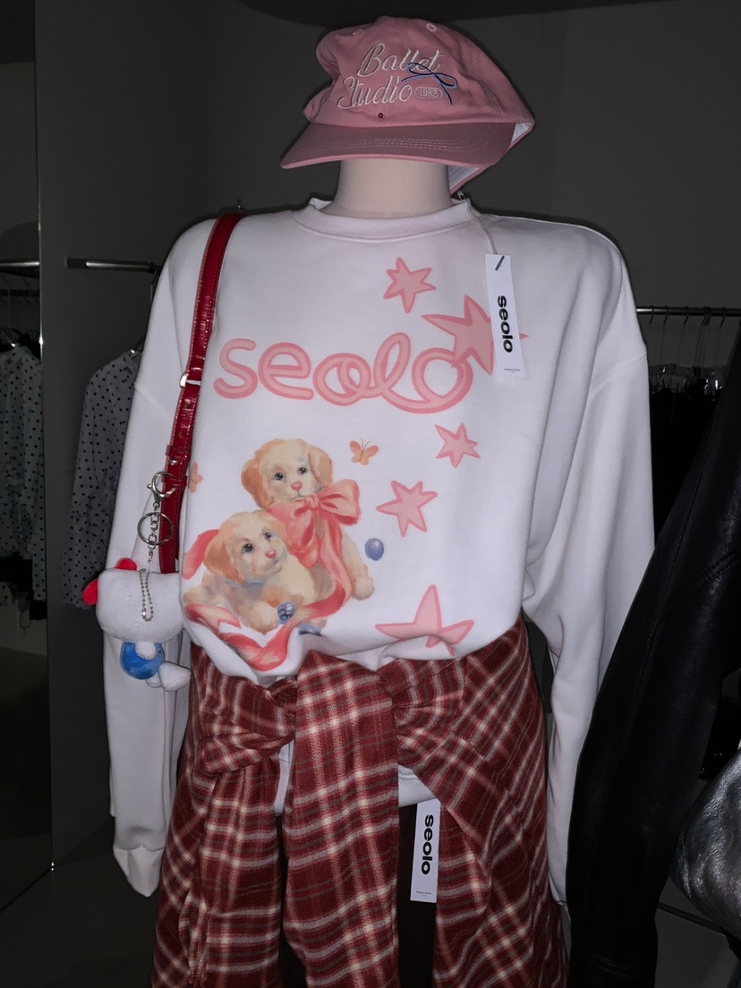 SEOLO東大門㊣實拍女士新款真品職業人氣推薦25秋冬熱賣衛衣Seolo seoul衛衣