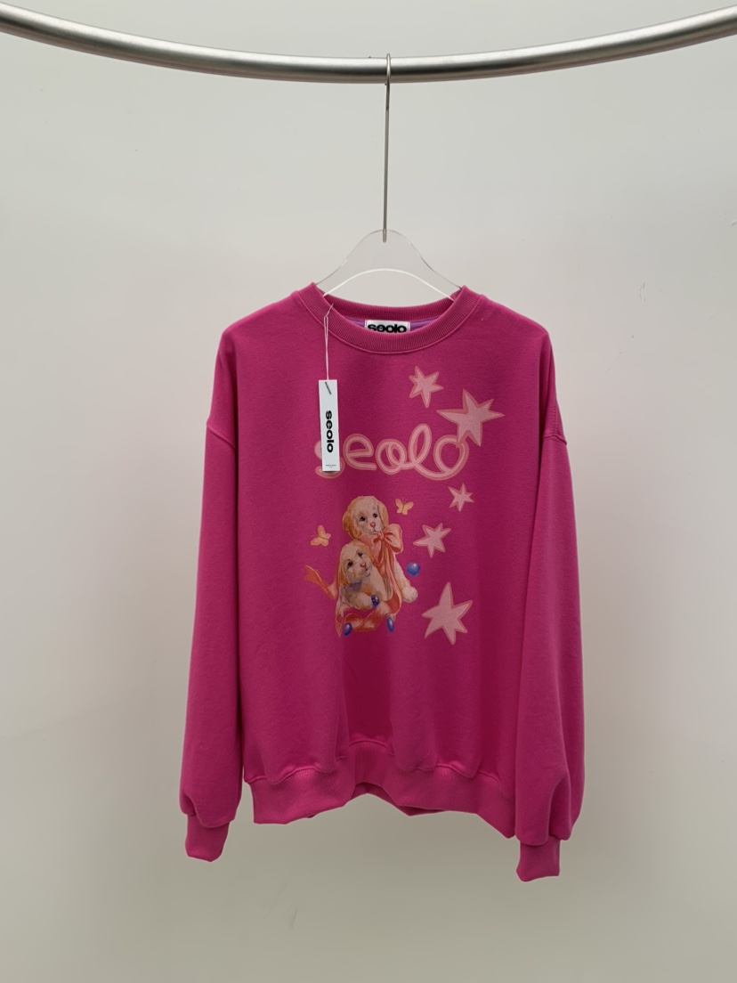 SEOLO東大門㊣實拍女士新款真品職業人氣推薦25秋冬熱賣衛衣Seolo seoul衛衣圖色3