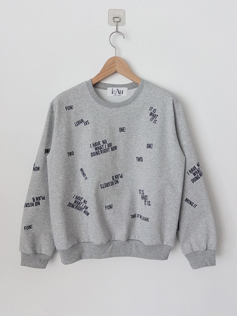 IAAN東大門㊣直郵女裝新款人氣熱賣職業休閑真品25秋冬衛衣iaAn衛衣圖色2