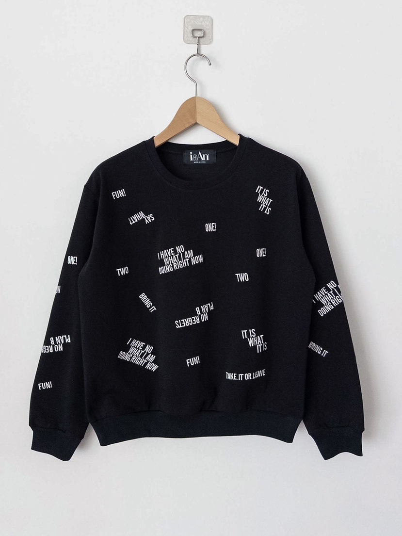 IAAN東大門㊣直郵女裝新款人氣熱賣職業休閑真品25秋冬衛衣iaAn衛衣圖色3