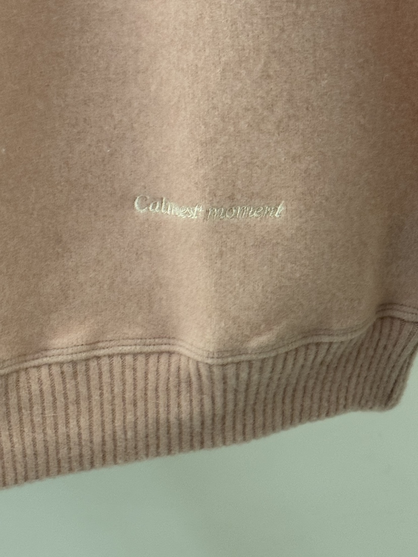 REGULARLY/PLACOR韓國代購㊣女士新品真品時尚職業25秋冬衛衣REGULARLY/PLACOR衛衣