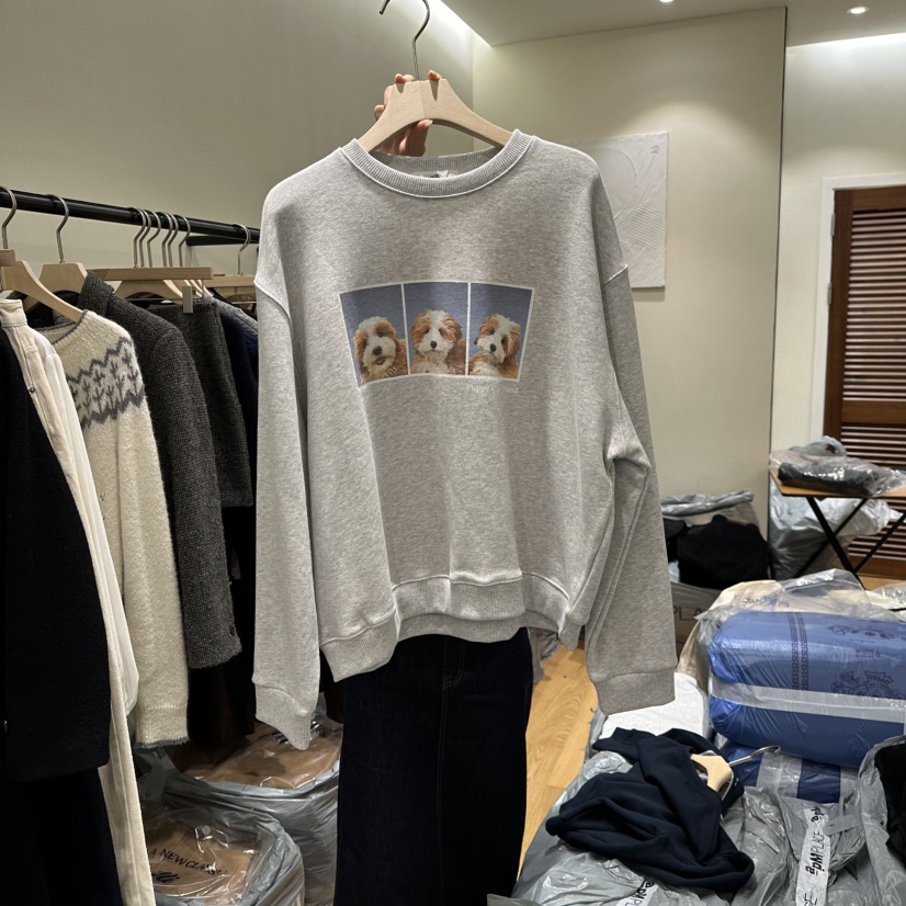 GILLI韓國直郵㊣女士新款推薦25秋冬真品人氣職業熱賣衛衣加絨GILLI衛衣