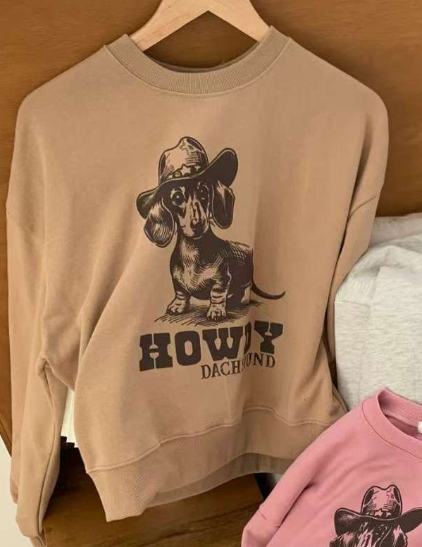 ARHEE東大門㊣實拍女士新品推薦人氣真品熱賣職業休閑時尚衛衣ARHEE衛衣圖色3