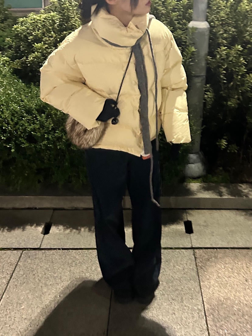 ME MO東大門㊣直郵女裝新款職業時尚25秋冬休閑短款羽絨服ME MO短款羽絨服圖色2