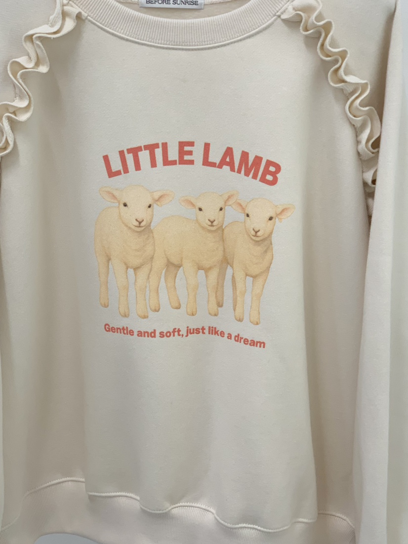 BEFORE SUNRISE東大門㊣代購女士新品休閑推薦時尚真品衛衣BEFORE SUNRISE衛衣