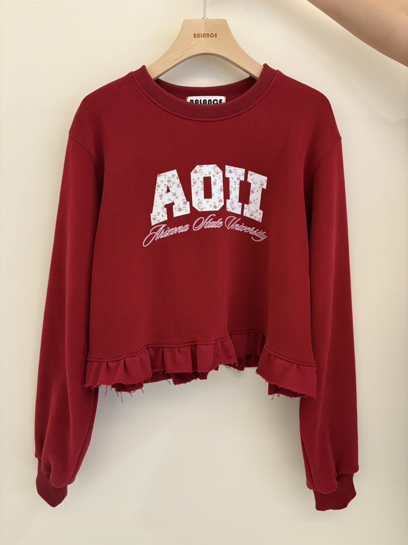 BALANCE韓國直郵㊣女裝新款25秋冬時尚熱賣推薦衛衣加絨花朵BALANCE衛衣圖色3