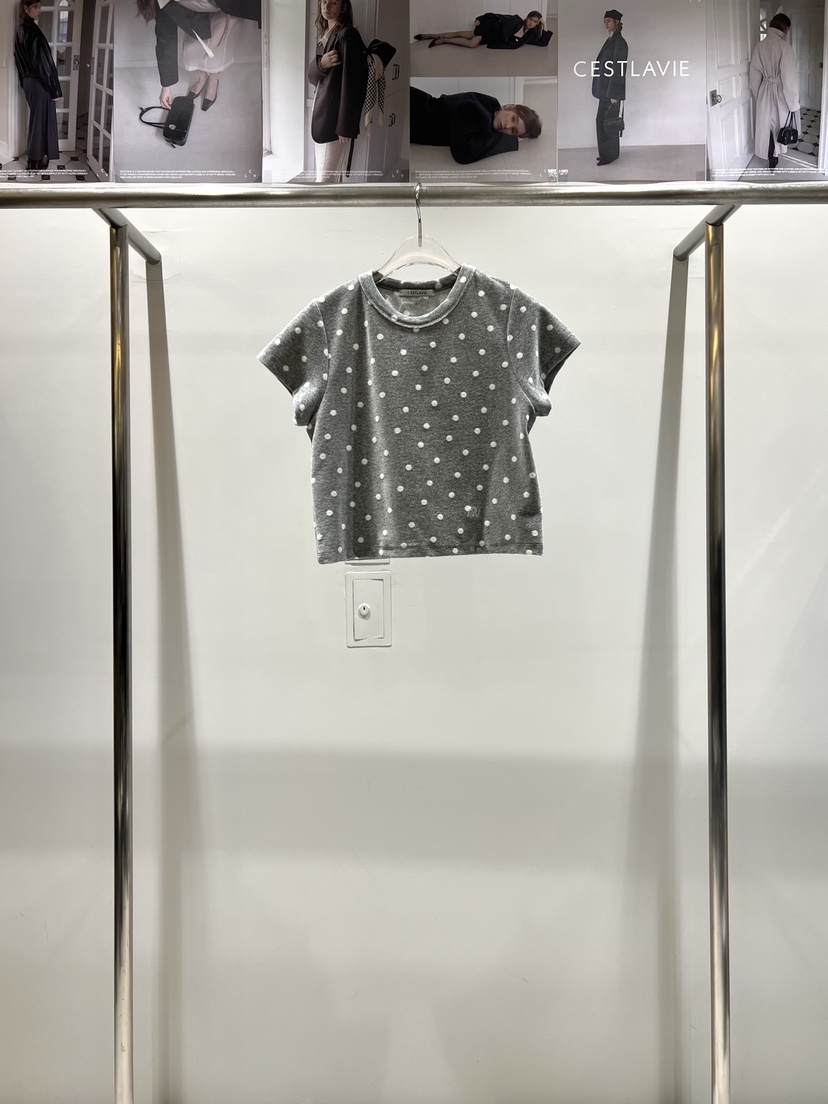 CESTLAVIE韓國直郵㊣女裝新款人氣25秋冬休閑時尚T恤刺繡絲絨CESTLAVIET恤圖色2