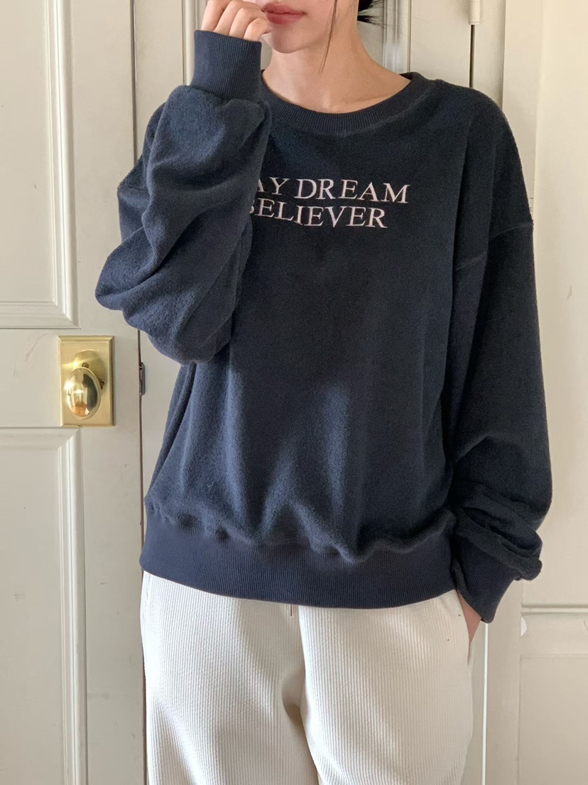 BINUS東大門㊣實拍女士新品推薦25秋冬時尚真品休閑人氣衛衣BINUS衛衣圖色2