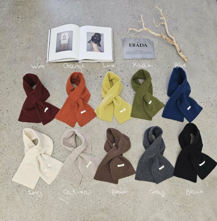 EBADA韓國直郵㊣女裝新品時尚熱賣職業人氣25秋冬休閑圍巾披肩EBADA圍巾/披肩