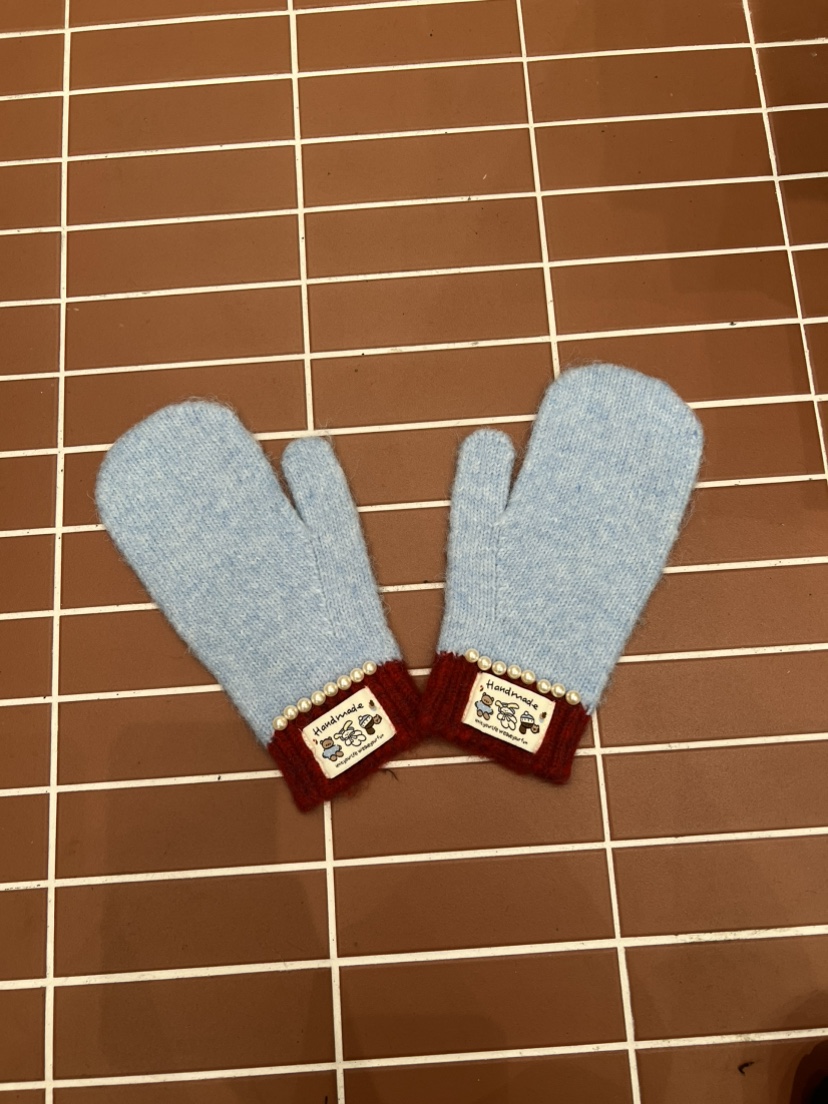 BE&amp;BE韓國直郵㊣女士新品25秋冬休閑熱賣職業真品手套BE&be手套圖色3