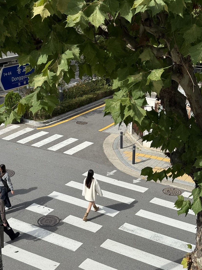 A P-STUDIO韓國直郵㊣女士新款休閑人氣職業推薦短款大衣A P-STUDIO短款大衣