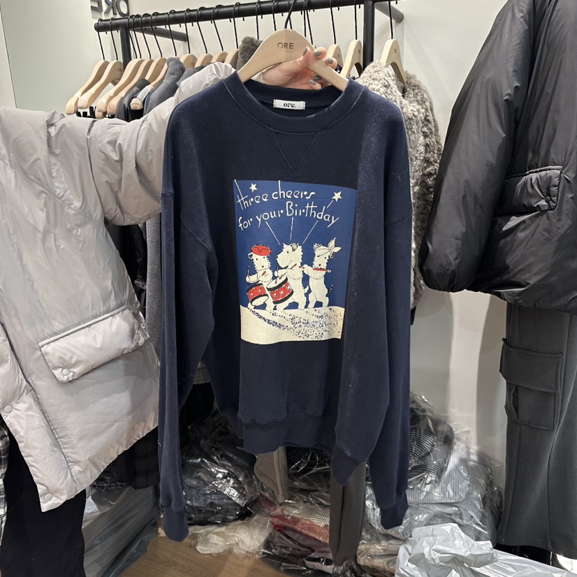 ORE-P韓國直郵㊣女裝新品職業人氣熱賣推薦休閑25秋冬衛衣加絨ORE衛衣圖色2