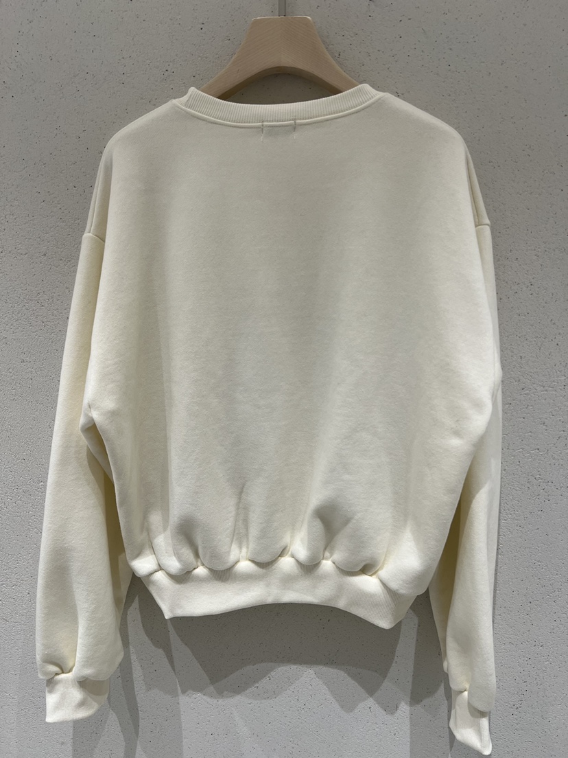 FIZZ韓國代購㊣女裝新品休閑人氣職業時尚推薦25秋冬熱賣衛衣FIZZ衛衣