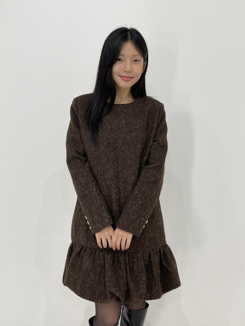 ANNA VERRY-P東大門㊣代購女裝新品時尚職業25秋冬連衣裙ANNA VERRY-P連衣裙