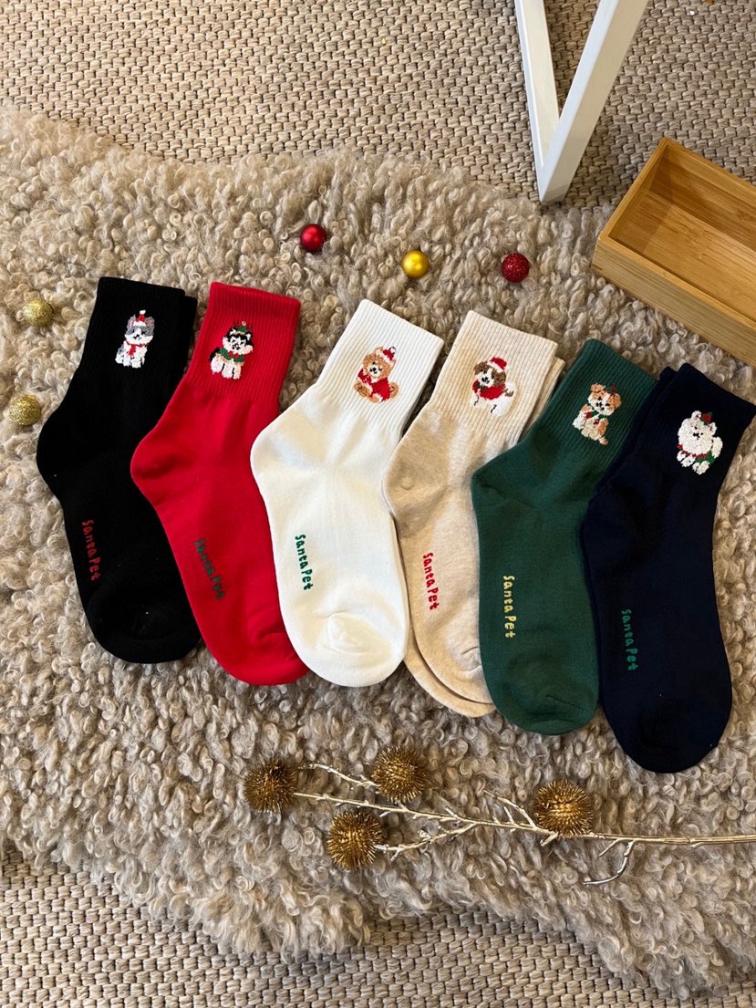 CACTUS-Q韓國代購㊣女士新品25秋冬時尚熱賣人氣職業推薦襪子CACTUS十雙起/可混搭襪子