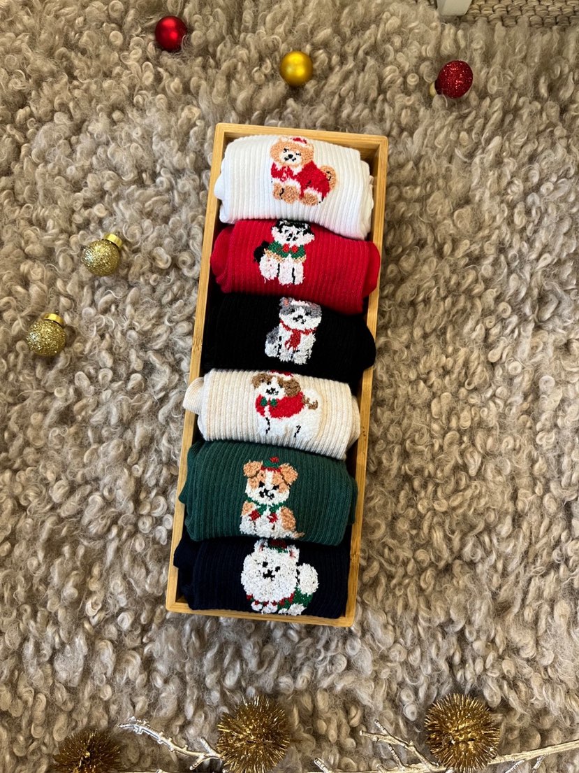 CACTUS-Q韓國代購㊣女士新品25秋冬時尚熱賣人氣職業推薦襪子CACTUS十雙起/可混搭襪子