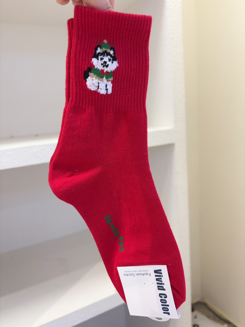 CACTUS-Q韓國代購㊣女士新品25秋冬時尚熱賣人氣職業推薦襪子CACTUS十雙起/可混搭襪子圖色2