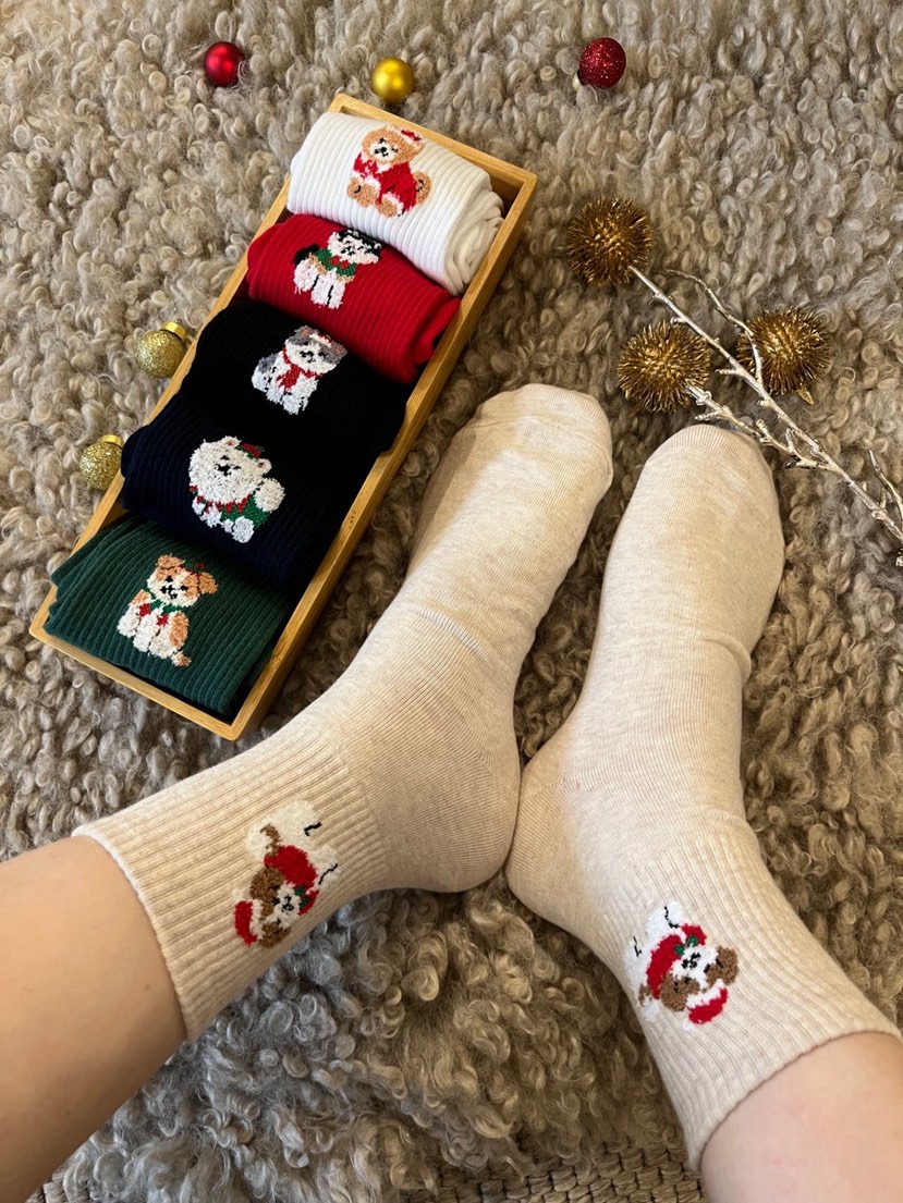 CACTUS-Q韓國代購㊣女士新品25秋冬時尚熱賣人氣職業推薦襪子CACTUS十雙起/可混搭襪子圖色3