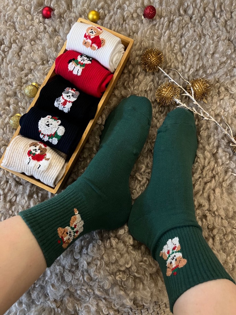 CACTUS-Q韓國代購㊣女士新品25秋冬時尚熱賣人氣職業推薦襪子CACTUS十雙起/可混搭襪子圖色4