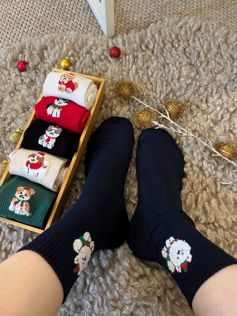 CACTUS-Q韓國代購㊣女士新品25秋冬時尚熱賣人氣職業推薦襪子CACTUS十雙起/可混搭襪子圖色5