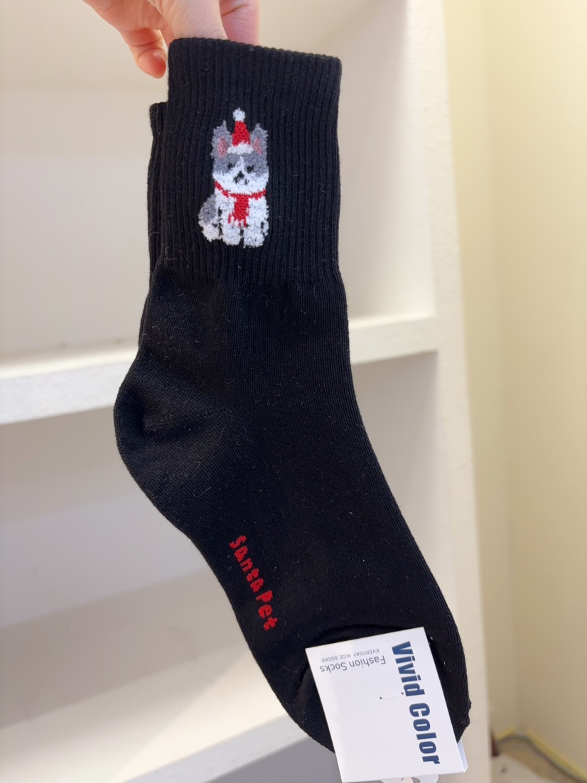 CACTUS-Q韓國代購㊣女士新品25秋冬時尚熱賣人氣職業推薦襪子CACTUS十雙起/可混搭襪子圖色6