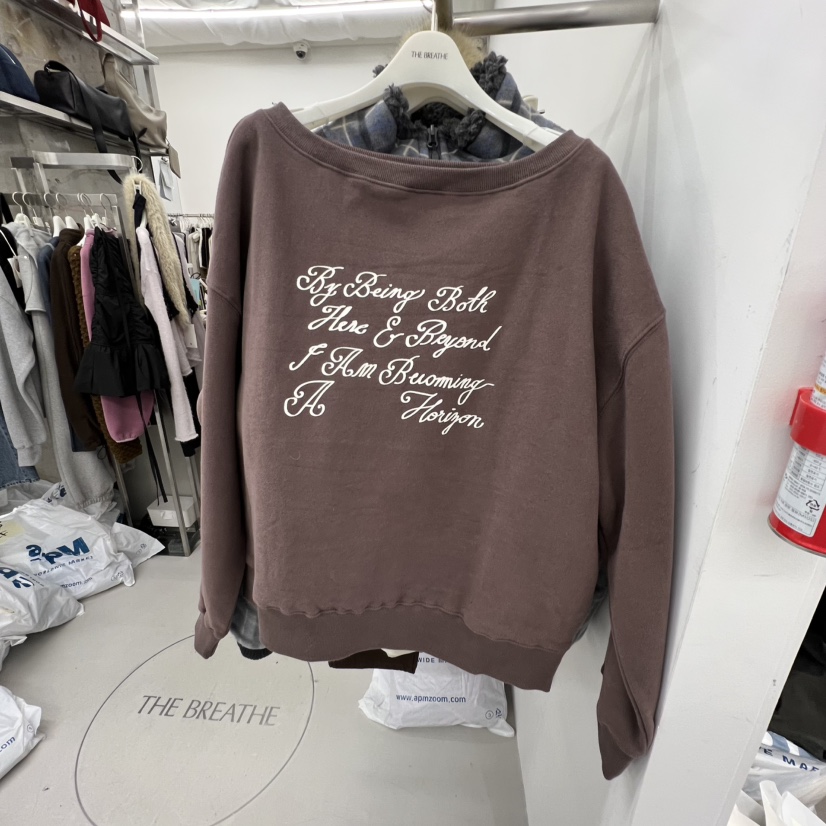 BREATHE東大門㊣代購女士新品時尚休閑25秋冬職業推薦衛衣加絨BREATHE衛衣圖色2