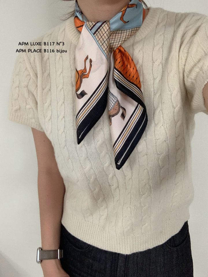 N3韓國代購㊣女裝新款休閑25秋冬職業推薦時尚圍巾披肩絲綢N3圍巾/披肩