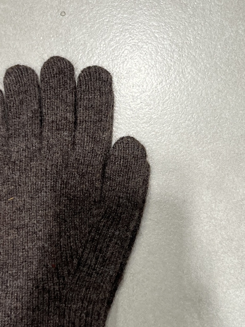 CESTLAVIE東大門㊣代購女士新品時尚職業25秋冬推薦熱賣手套CESTLAVIE手套