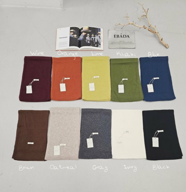 EBADA韓國代購㊣女士新品25秋冬人氣推薦熱賣職業休閑圍巾披肩EBADA圍巾/披肩