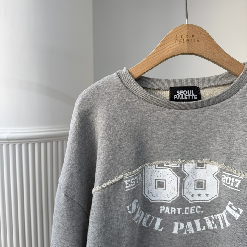 PALETTE-Q東大門㊣實拍女士新款25秋冬時尚推薦休閑熱賣衛衣PALETTE衛衣