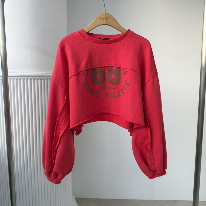PALETTE-Q東大門㊣實拍女士新款25秋冬時尚推薦休閑熱賣衛衣PALETTE衛衣圖色1