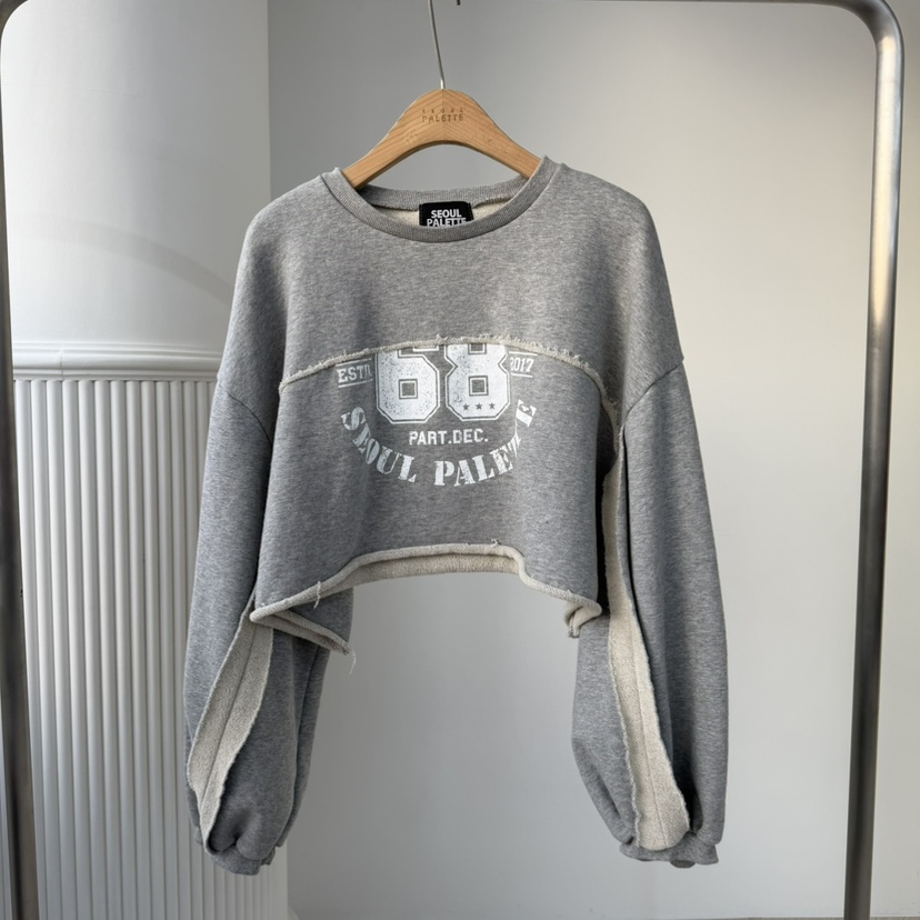 PALETTE-Q東大門㊣實拍女士新款25秋冬時尚推薦休閑熱賣衛衣PALETTE衛衣圖色2