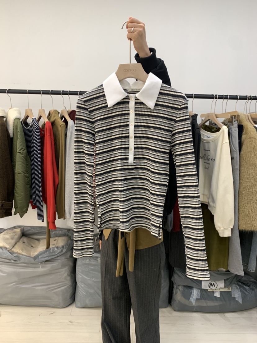 CEDARWOOD東大門㊣實拍女裝新款熱賣人氣職業25秋冬長袖T恤CEDAR WOOD長袖T恤圖色2