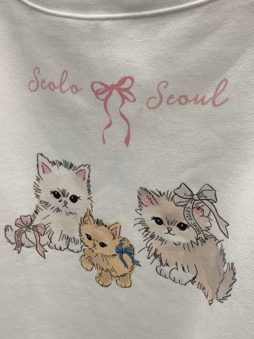 SEOLO韓國代購㊣女士新品時尚推薦25秋冬熱賣人氣職業休閑衛衣Seolo seoul衛衣