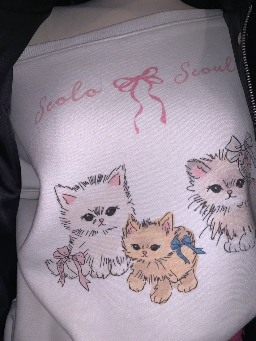 SEOLO韓國代購㊣女士新品時尚推薦25秋冬熱賣人氣職業休閑衛衣Seolo seoul衛衣